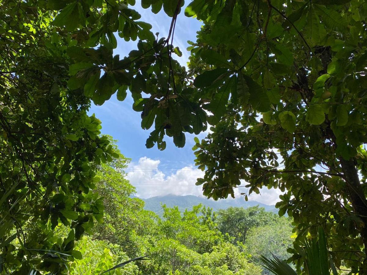 Las Mananitas De La Sierra El Zaino Luaran gambar