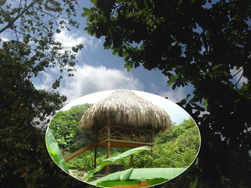 Las Mananitas De La Sierra El Zaino Luaran gambar