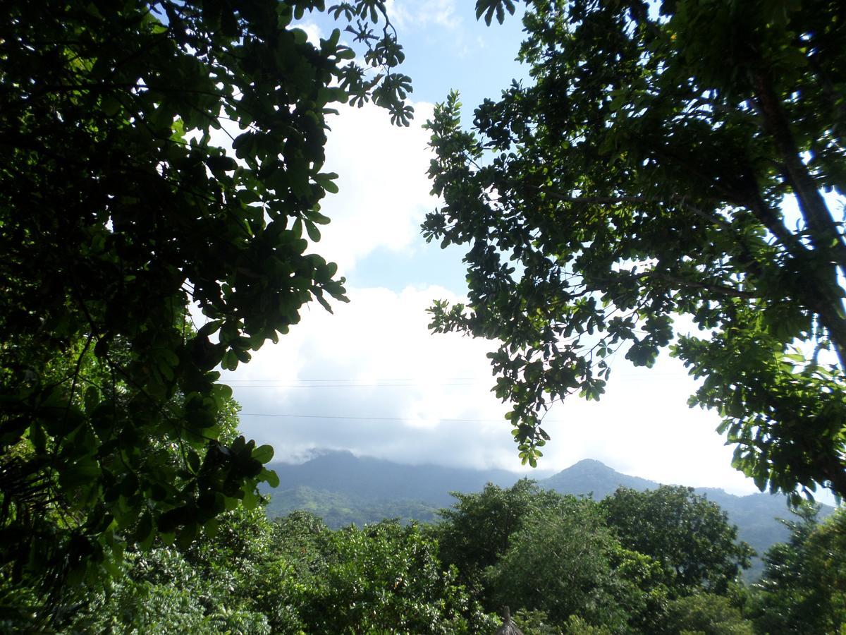 Las Mananitas De La Sierra El Zaino Luaran gambar