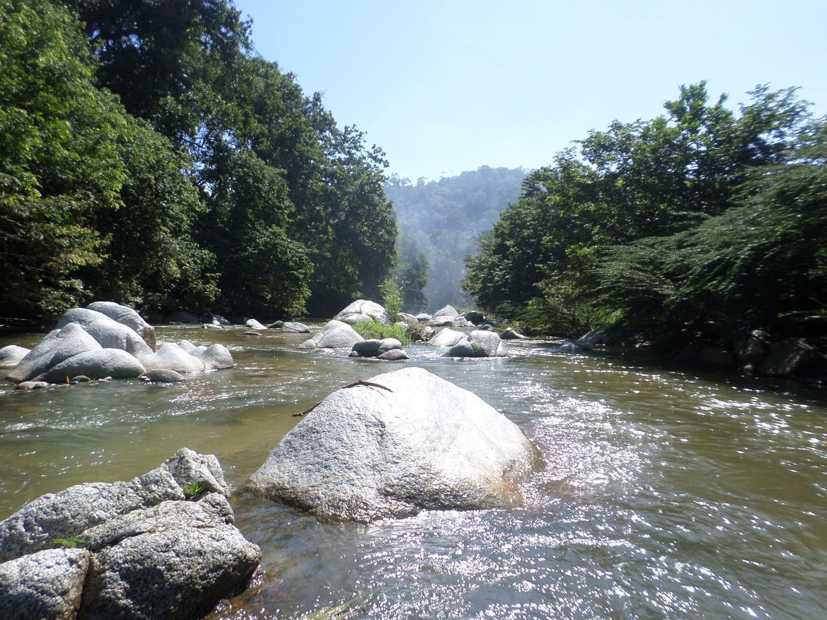 Las Mananitas De La Sierra El Zaino Luaran gambar